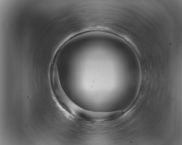 X0000071331054200606261242