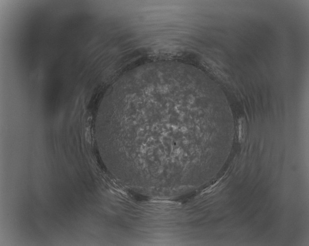 X0000071331059200606261241