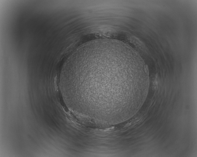 X0000071331060200606261241