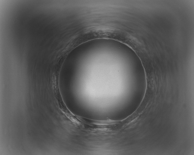 X0000071331061200606261241