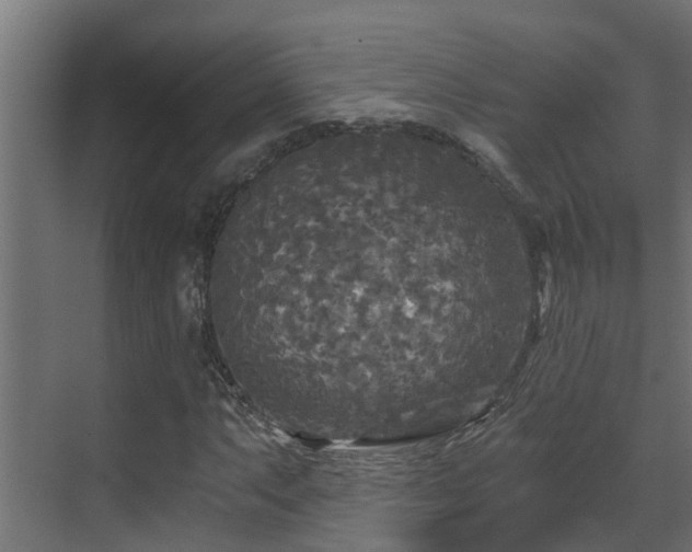 X0000071331063200606261241