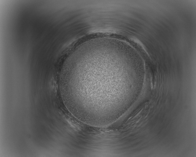 X0000071331064200606261241