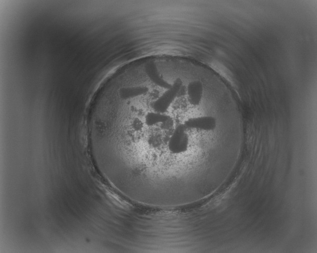 X0000071331067200606261241