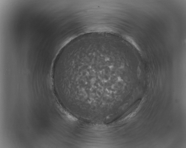 X0000071331071200606261241