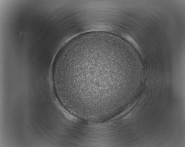 X0000071331072200606261241