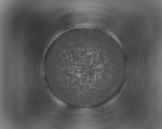 X0000071331075200606261241