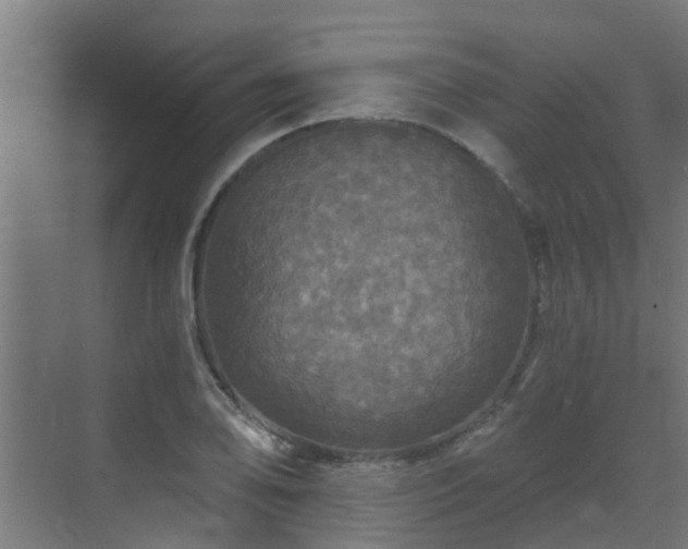 X0000071331078200606261240