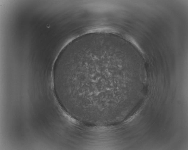 X0000071331079200606261240