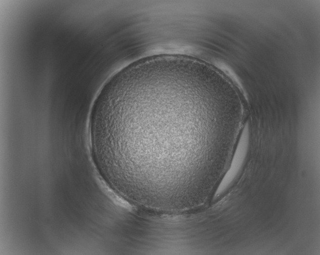 X0000071331080200606261240