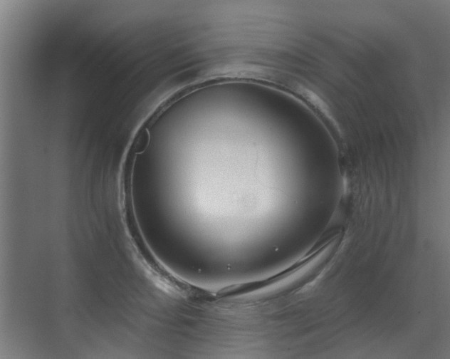 X0000071331082200606261240