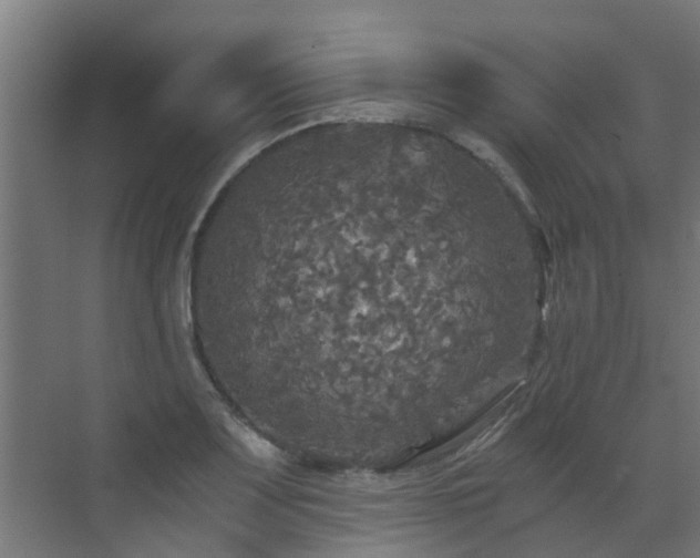 X0000071331083200606261240