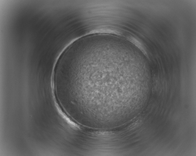 X0000071331084200606261240