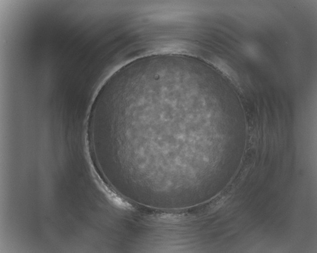 X0000071331086200606261240