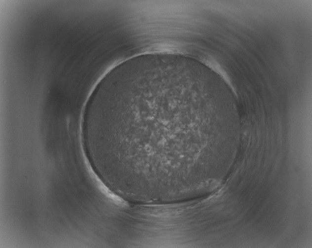 X0000071331091200606261240