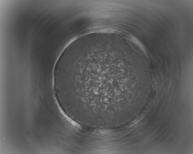 X0000071331095200606261240