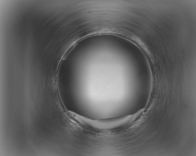 X0000071331097200606261240