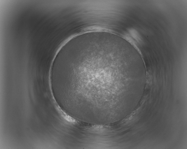 X0000071331098200606261240