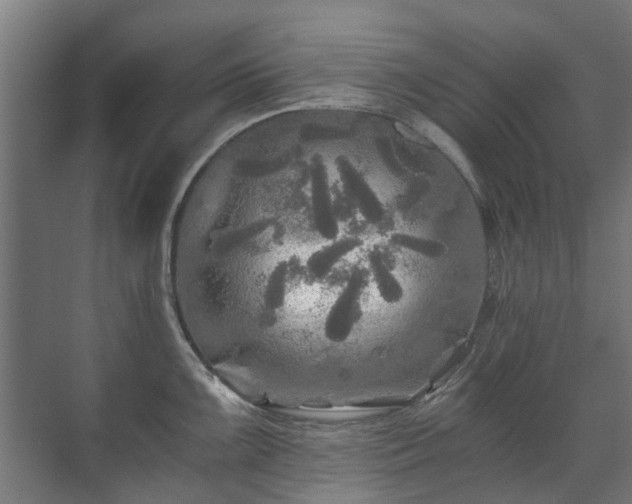 X0000071331099200606261240