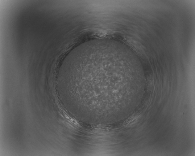 X0000071331105200606261239