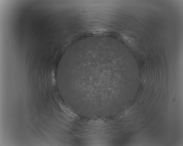 X0000071331106200606261239