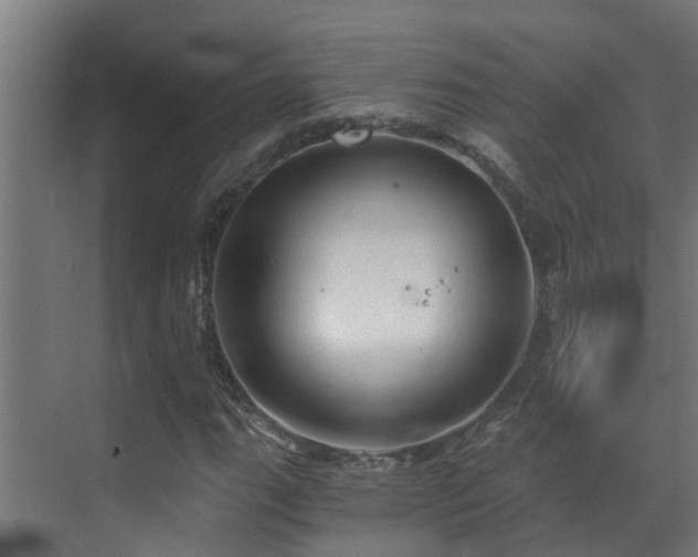 X0000071331111200606261239