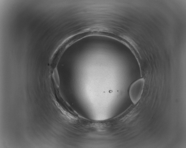 X0000071331115200606261239