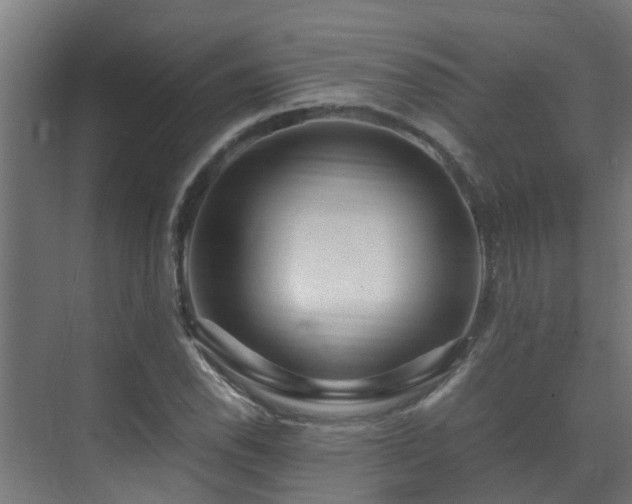 X0000071331118200606261239