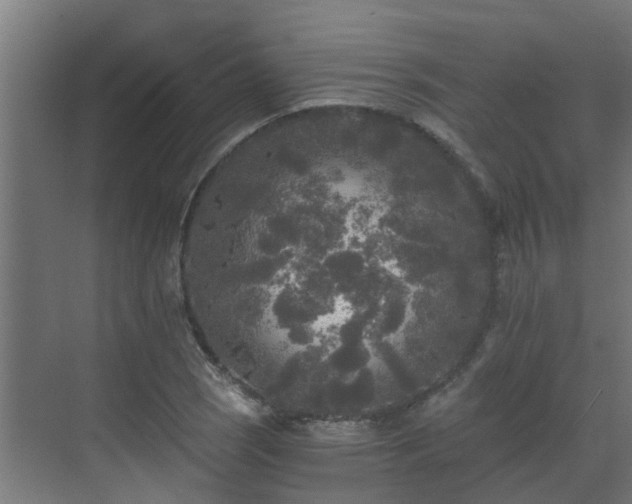 X0000071331121200606261240