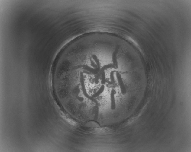 X0000071331125200606261240