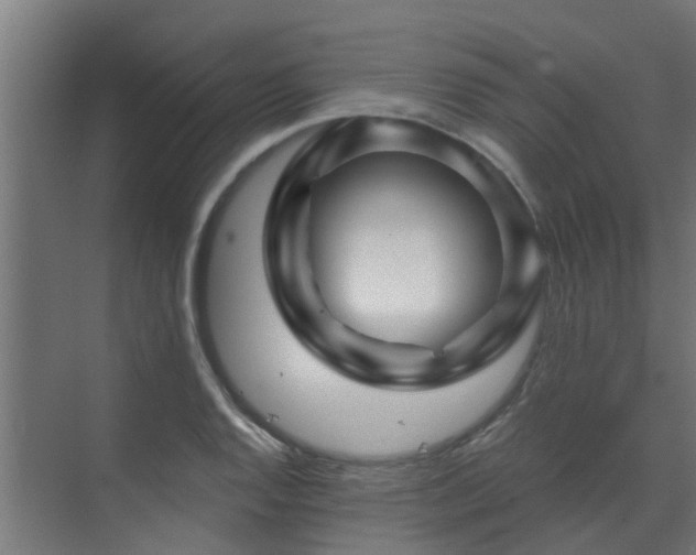 X0000071331128200606261240