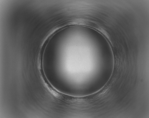 X0000071331131200606261240