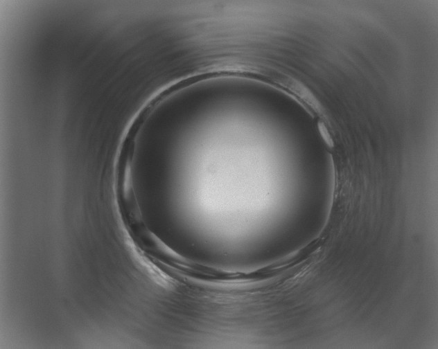 X0000071331132200606261240