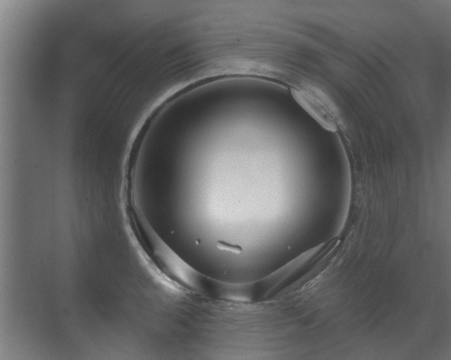 X0000071331136200606261240