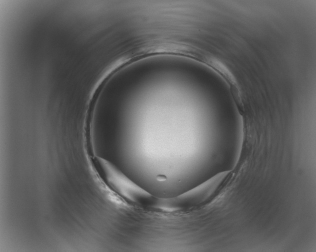 X0000071331138200606261240