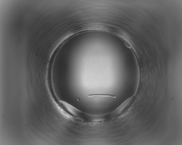 X0000071331139200606261240