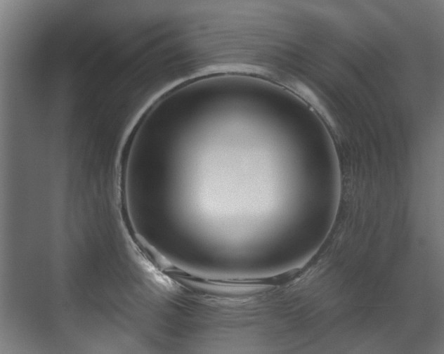 X0000071331140200606261240