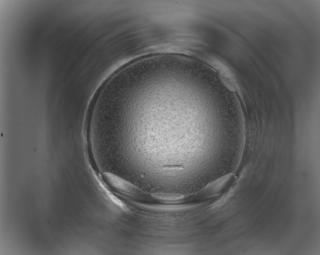 X0000071331141200606261240