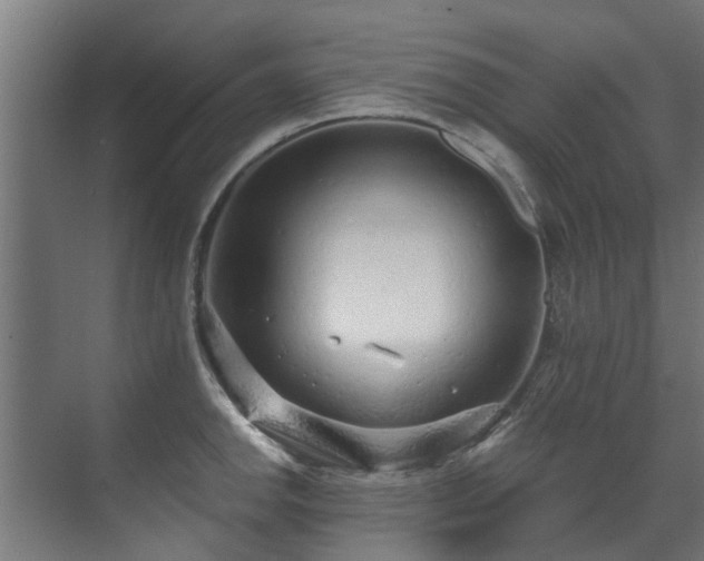 X0000071331142200606261240