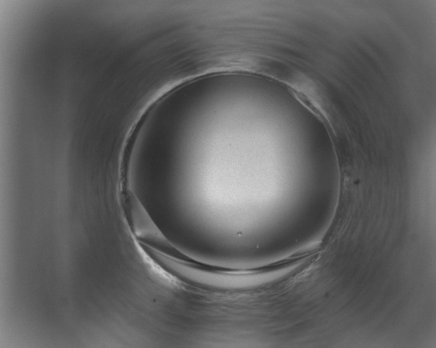 X0000071331143200606261240