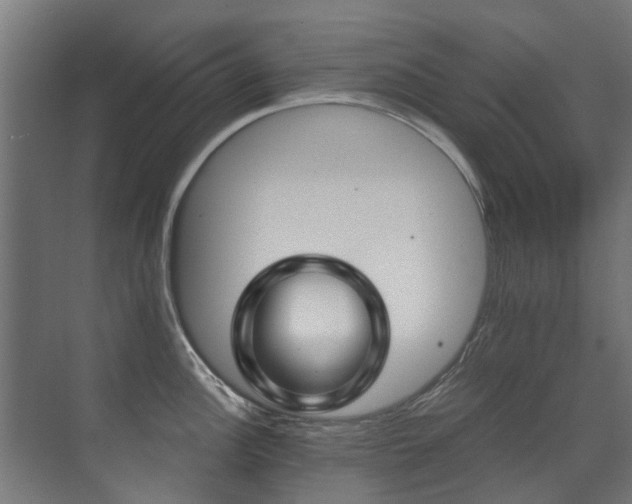 X0000071331148200606261240