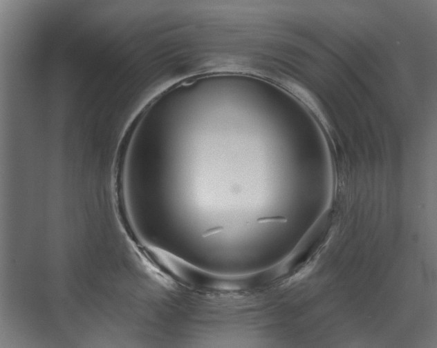 X0000071331149200606261240