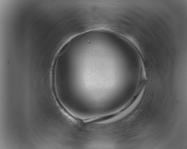 X0000071331151200606261240