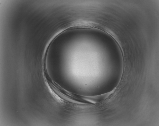 X0000071331152200606261240