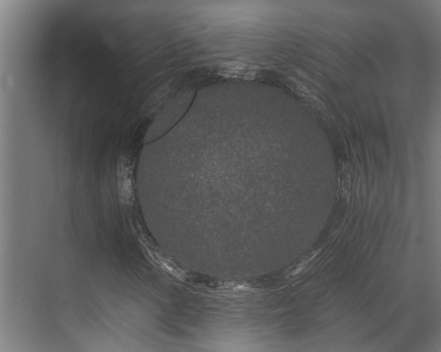 X0000071331154200606261239