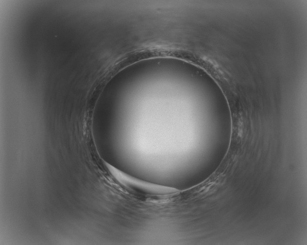 X0000071331157200606261239