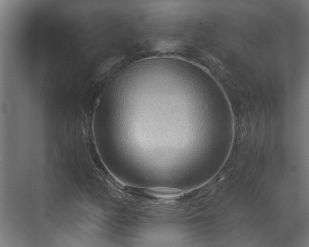 X0000071331158200606261239