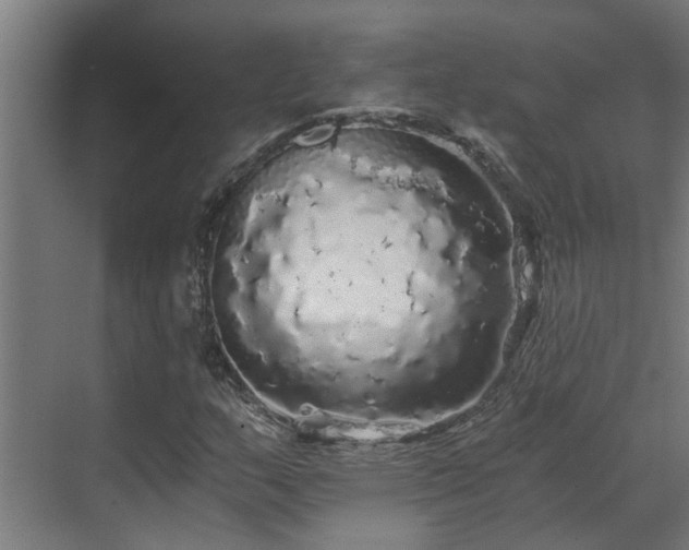 X0000071331159200606261239