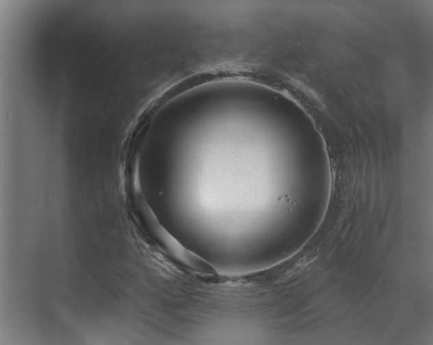 X0000071331160200606261239