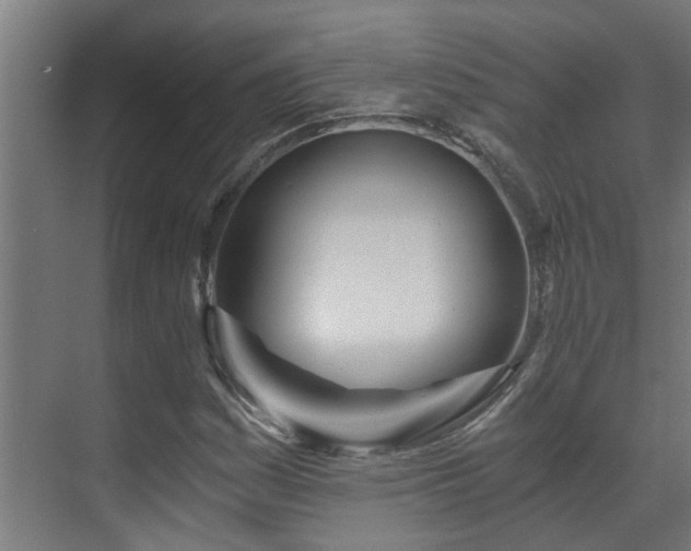 X0000071331161200606261239