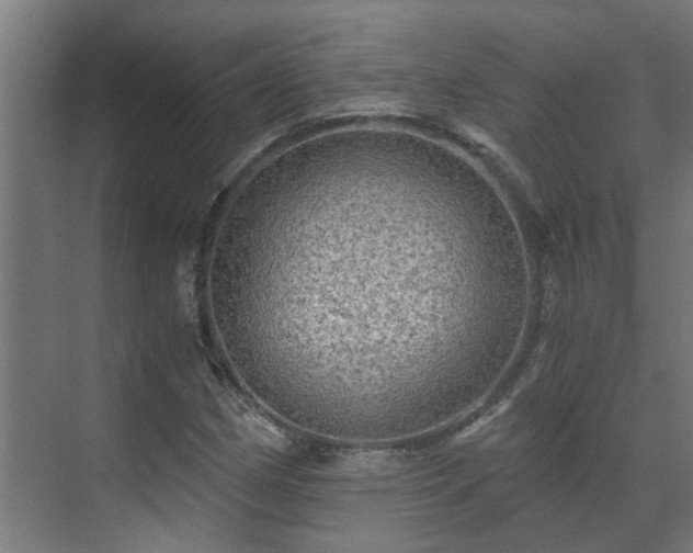 X0000071331162200606261239